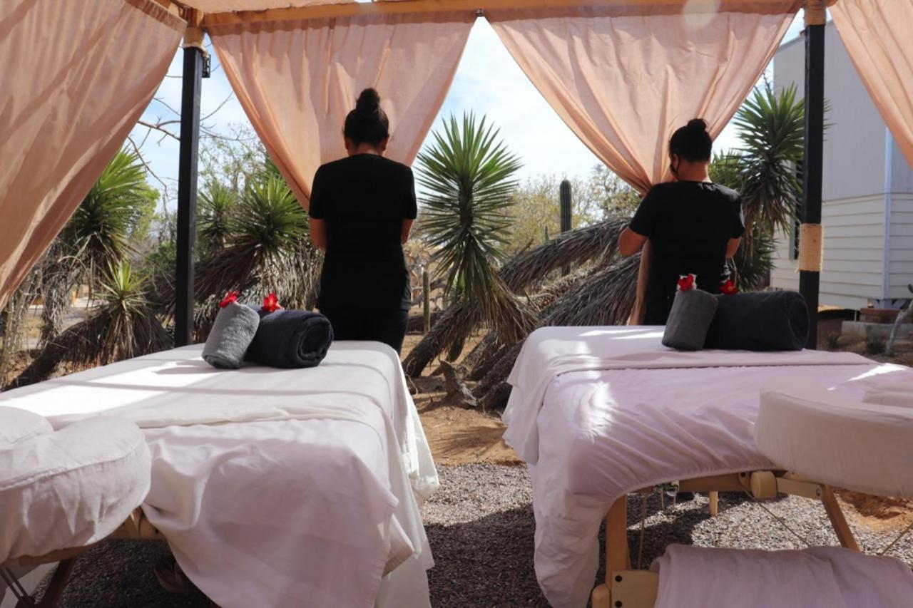 Experience Aparthotel El Cardonal Kültér fotó
